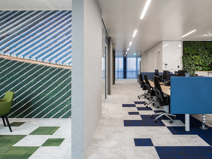 綠色食品公司辦公室吸音墻裝修設計效果圖