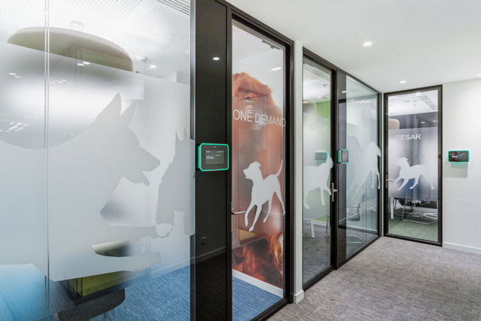 寵物食品公司辦公室隔斷裝修設計效果圖